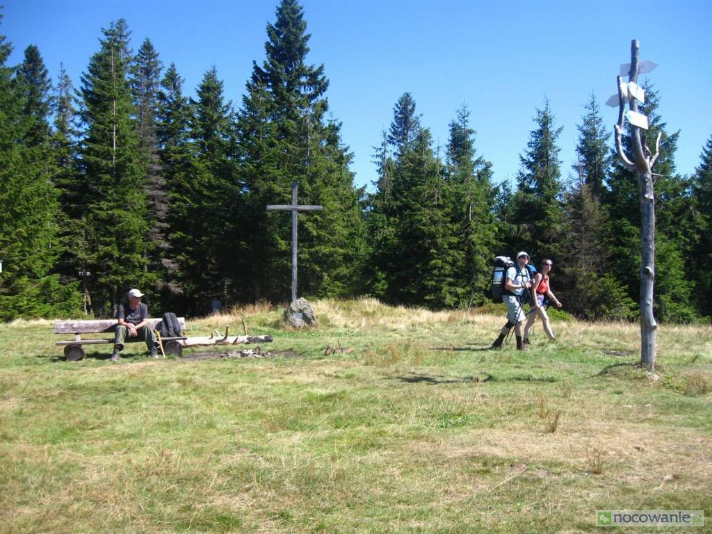 Agroturystyka Lesny Zakatek Stryszawa Extérieur photo