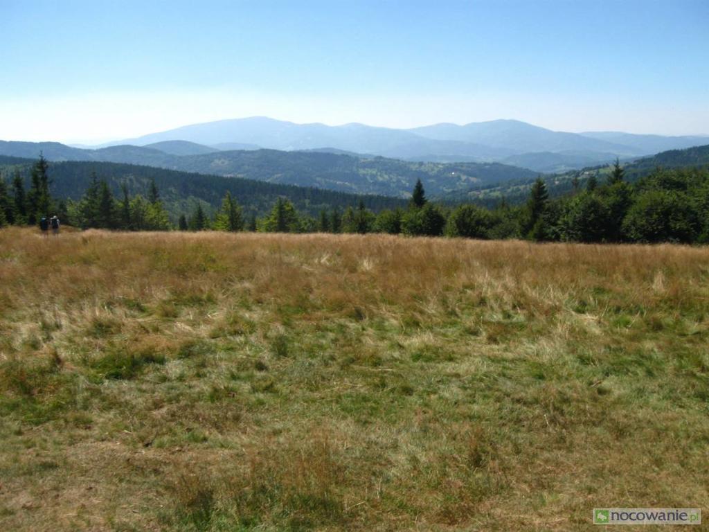 Agroturystyka Lesny Zakatek Stryszawa Extérieur photo