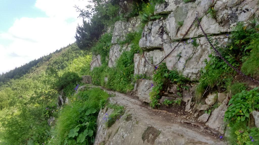 Agroturystyka Lesny Zakatek Stryszawa Extérieur photo