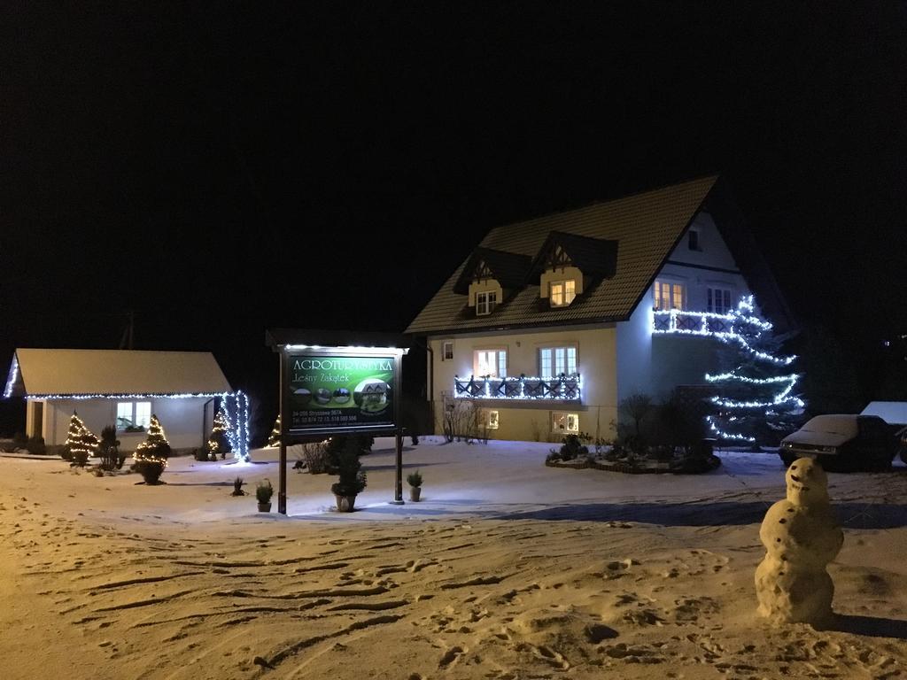 Agroturystyka Lesny Zakatek Stryszawa Extérieur photo