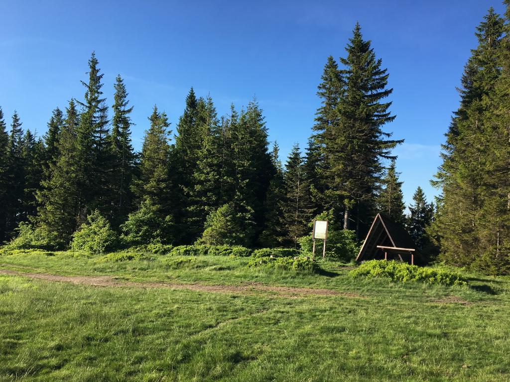 Agroturystyka Lesny Zakatek Stryszawa Extérieur photo
