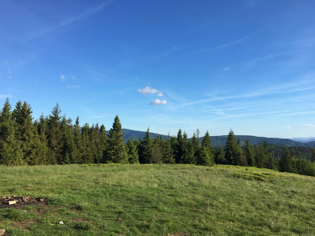 Agroturystyka Lesny Zakatek Stryszawa Extérieur photo