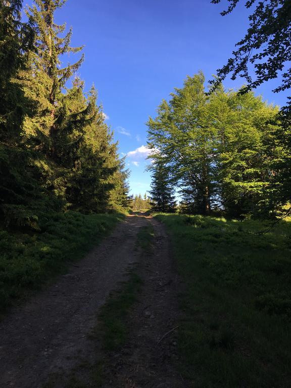 Agroturystyka Lesny Zakatek Stryszawa Extérieur photo