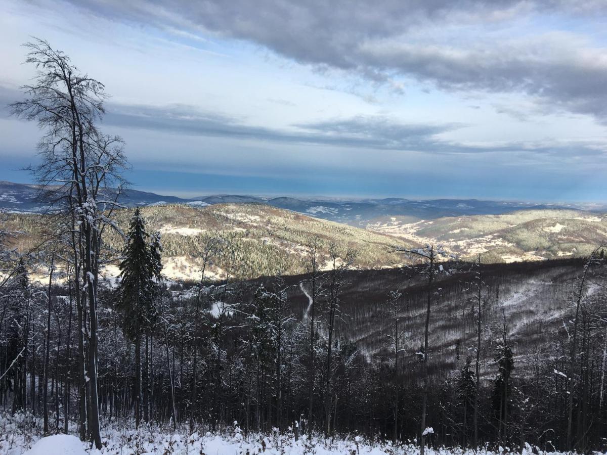 Agroturystyka Lesny Zakatek Stryszawa Extérieur photo